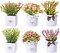6-Piece Artificial Flowers in Ceramic Pots – Faux Spring Flower Arrangements, Small Vases for Easter, Farmhouse Home, Office, and Table Centerpiece Decor